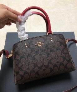 Coach pure original new Lillie small Princess Diana bag