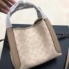 Coach 79251 Hadley Hermès same style basket bag