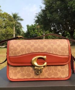 Coach old flower Dionysus bag1
