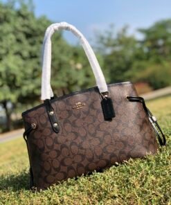 Coach pure original shopping bag/catfish bag12