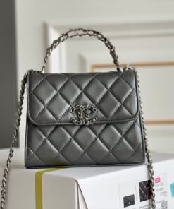 Chanel 𝑪𝒉𝒂𝒏𝒆𝒍 𝟐𝟑𝐏｜Cement gray♥𝐳𝐩 grade Medium